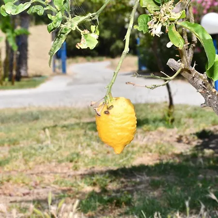 1-bedroom Olympia At Lambi * Kos-stad