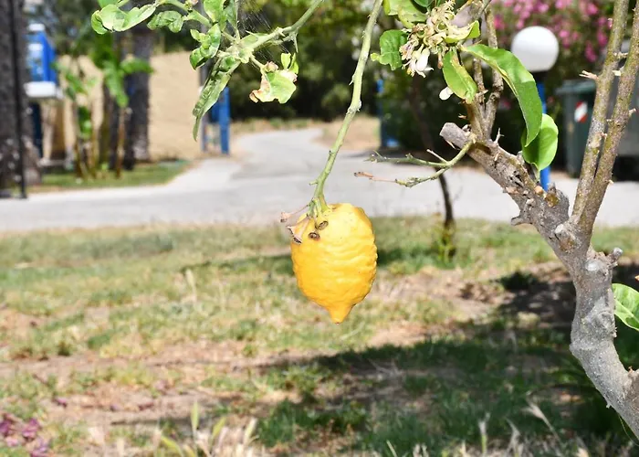 1-bedroom Olympia At Lambi * Cós