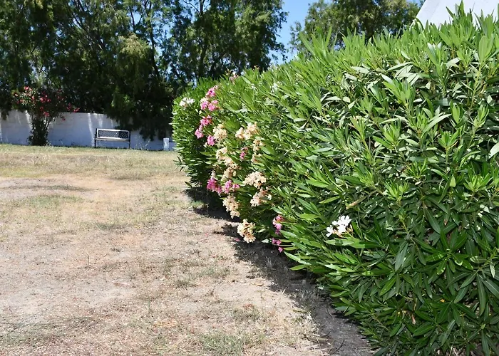 1-bedroom Olympia At Lambi Apartamento