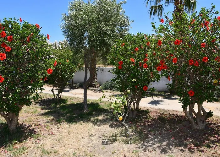 Apartament 1-bedroom Olympia At Lambi *