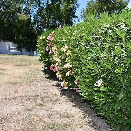 1-bedroom Olympia At Lambi 公寓